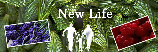 星舞町移住・定住促進サイト